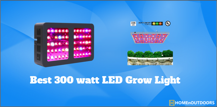 Best 300 watt led grow light