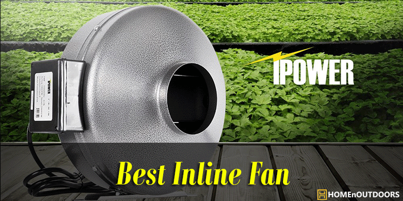 Best Inline Fan