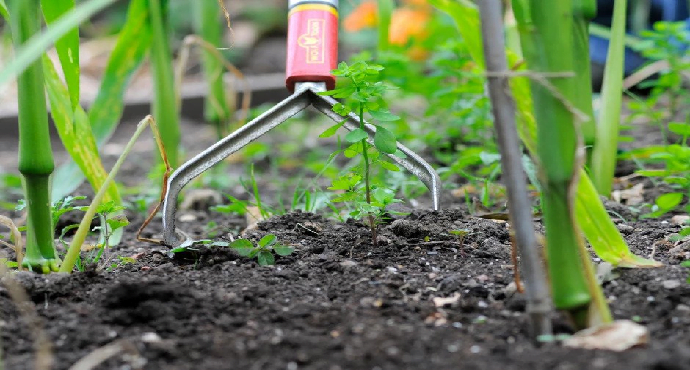 Keeping weeds and pests out